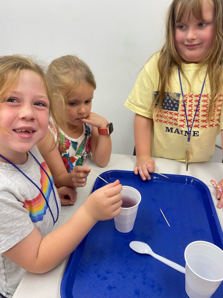 Junior Mad Scientists